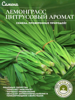 Набор семян для посадки, Петрушка, 5-ти сортов, 10гр. семян.