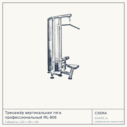 Тренажёр вертикальная тяга профессиональный ML-806 — от 164 000 ₽