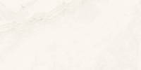 ARTCER Onix Predo 60x120