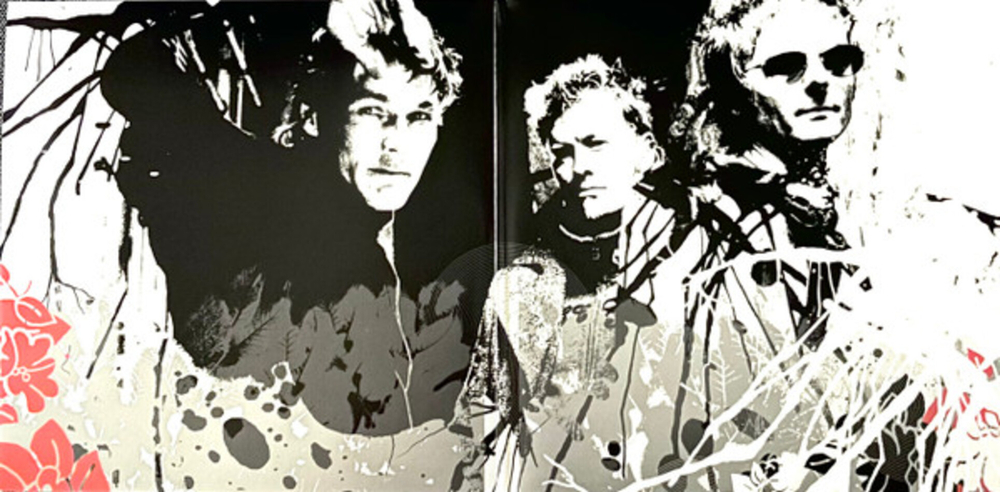 a-ha / Analogue (Limited Edition)(2LP)