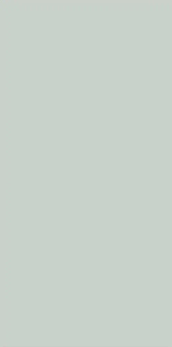 97SO609 Siros Menta Rec 60х120