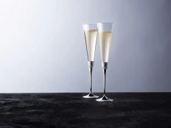 Wedgwood Набор из 2 бокалов Vera Wang Giftware золото EAN 701587157643