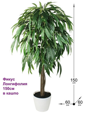 Искусственное дерево Фикус Лонгифолия 150см в горшке