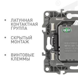 12-4110-04 ЭРА Устройство зарядное USB, 230В/5В-2100мА, IP20, Эра12, шампань | Эра 12