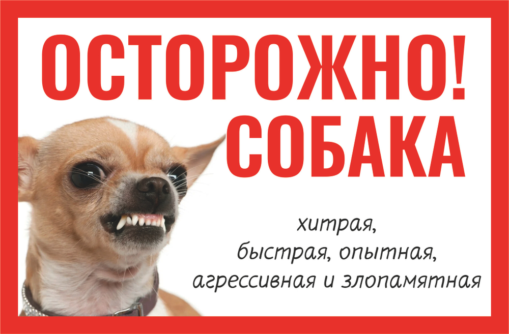 Табличка "Осторожно быстрая собака"