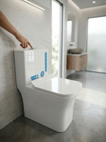 Унитаз моноблок безободковый 140 CARMON P Trap