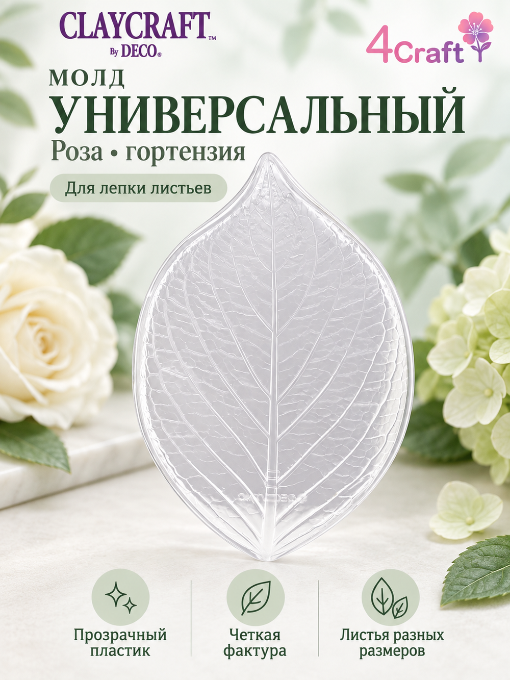 Молд B