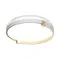 Настенно-потолочный светильник Olidi White 7646/CLN Sonex