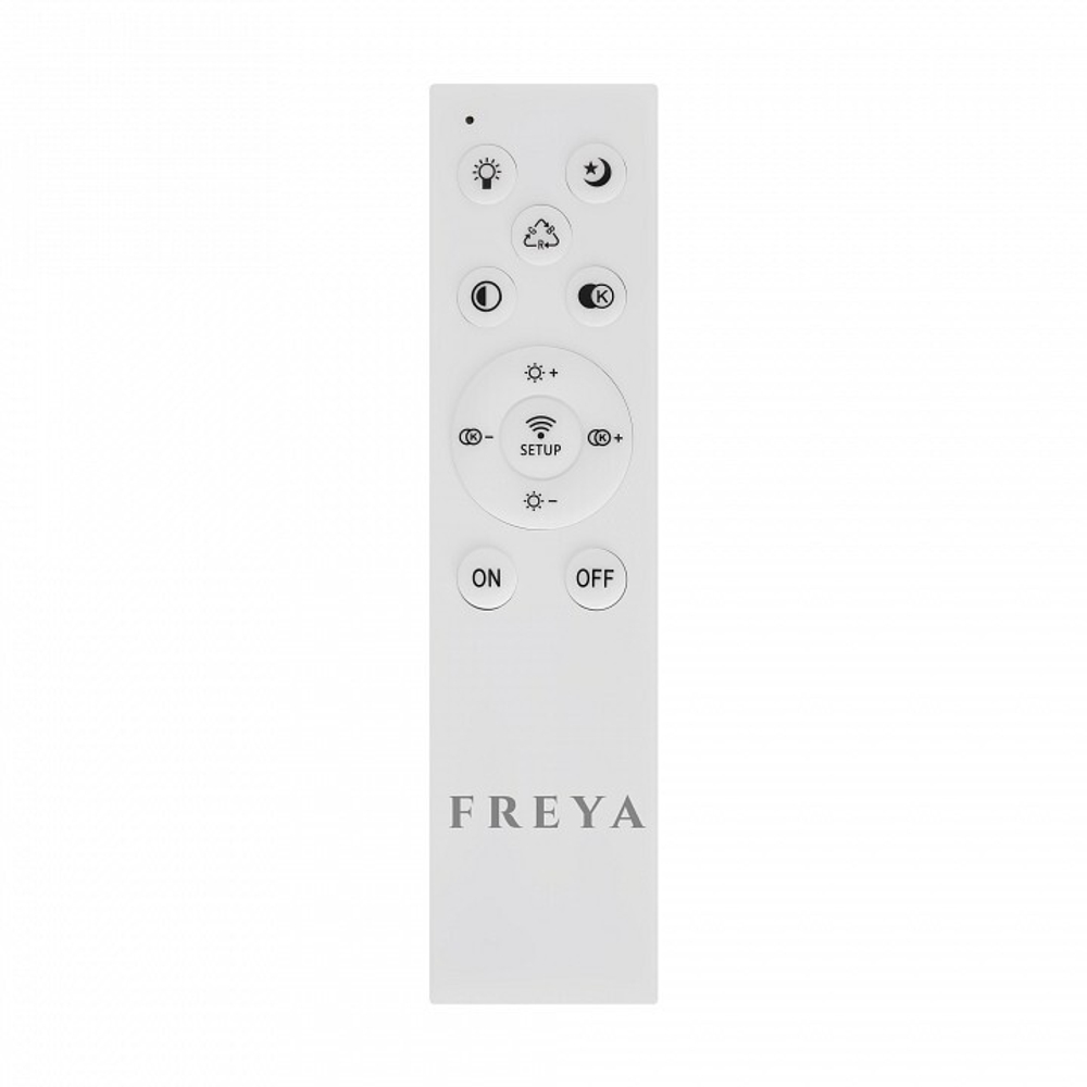 Накладной светильник Freya  FR10018CL-L40W