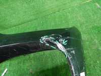DSCN9530.JPG