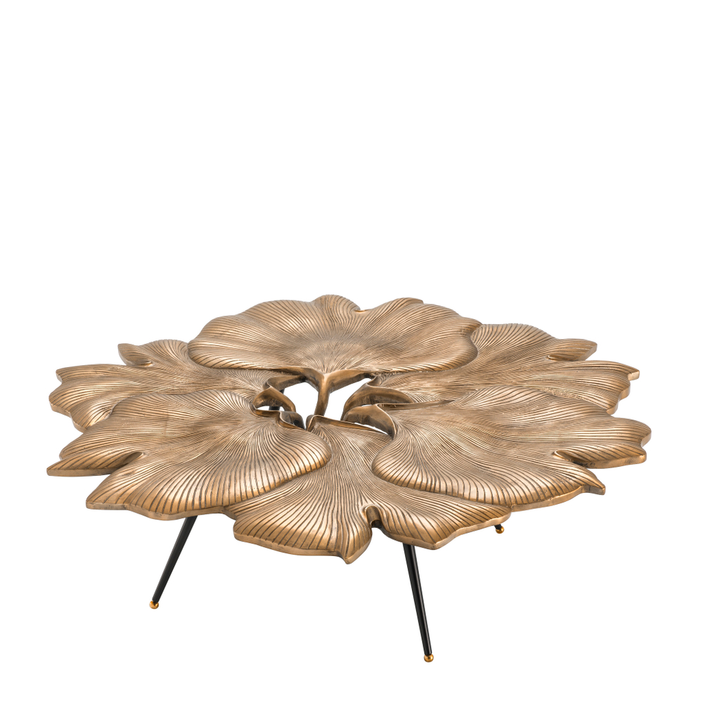 Журнальный столик Coffee Table Ginkgo арт.113154