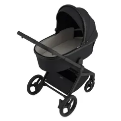 Коляска ANEX Flo 2 в 1 Lungo