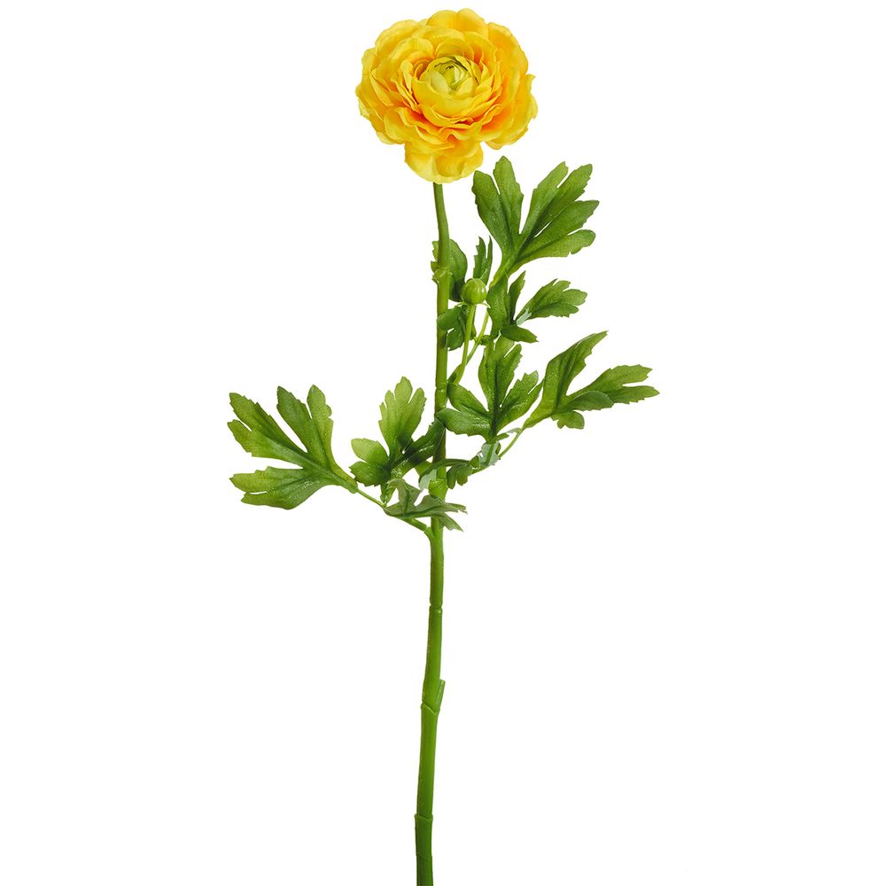Цветок декоративный Fiebiger Floristik: Ранункулюс, 204210-200 Цветок декоративный Fiebiger Floristik: Ранункулюс, 204210-200