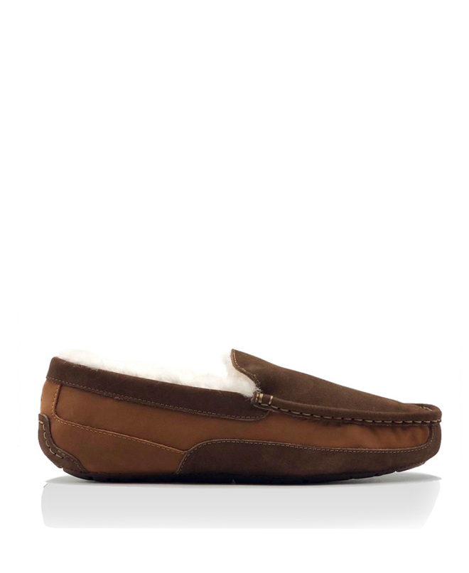 ASCOT MENS cognac