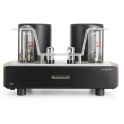 Mastersound 845 Monoblock Black Wood
