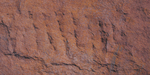 Devine Stone