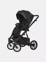 Коляска  MONTANA ECCO (2 в 1) (RIKO BASIC) 12 Black (черный)