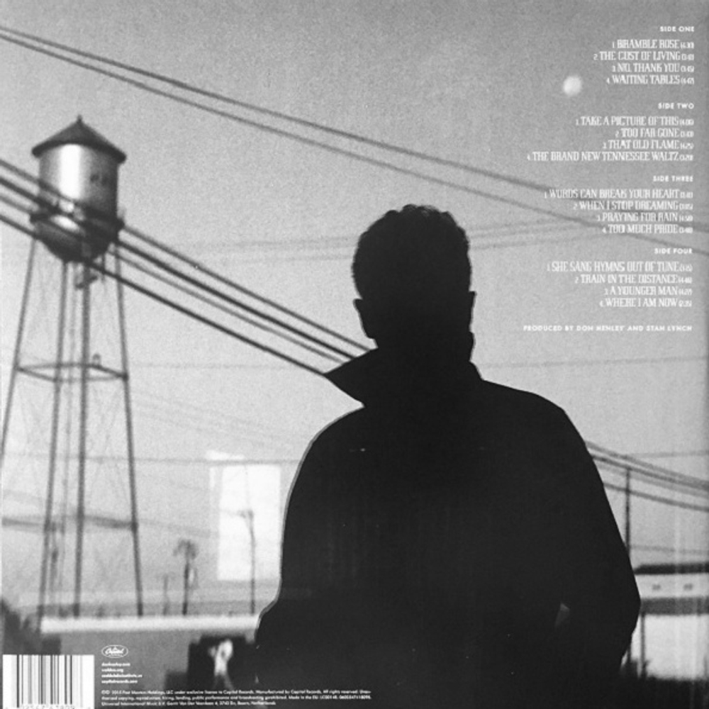 Don Henley / Cass County (2LP)