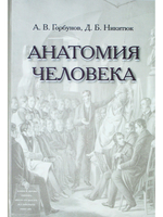Анатомия человека