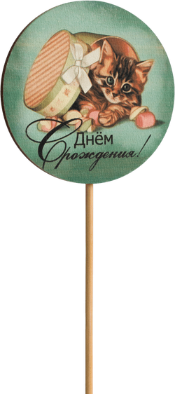 Топпер С Днём рождения! (Комплект 5шт.)