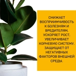 Удобрение для ЦВЕТОВ 0,5л КОНЦЕНТРАТ комплексное удобрение для всех комнатных и балконных растений, для цветущих, вечнозеленых, луковичных, фикусов, декоративно-лиственных и суккулентов