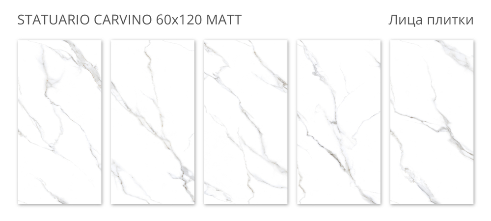 STATUARIO CARVINO 60x120 MATT