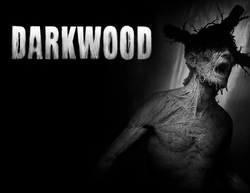 Darkwood (для ПК, цифровой код доступа)
