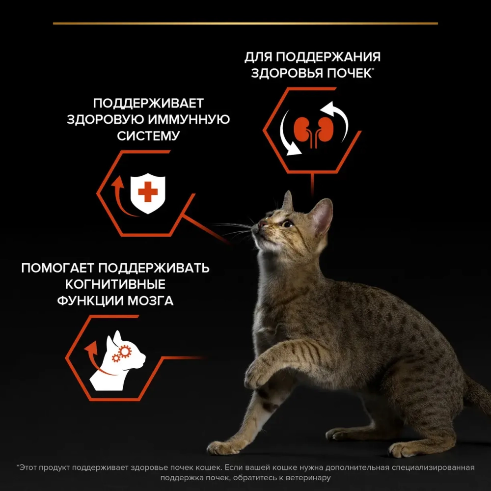 Сухой корм Лосось  для взрослых кошек от 1 года, Pro Plan РАЗВЕСНОЙ