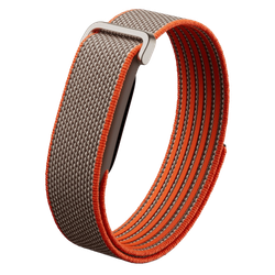 Фитнес-браслет Google Fitbit Air