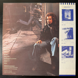 Виниловая пластинка Lee Ritenour ‎– Feel The Night LP