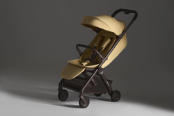 Прогулочная коляска Anex Air-Q