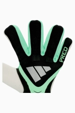 Вратарские перчатки adidas Predator Competition