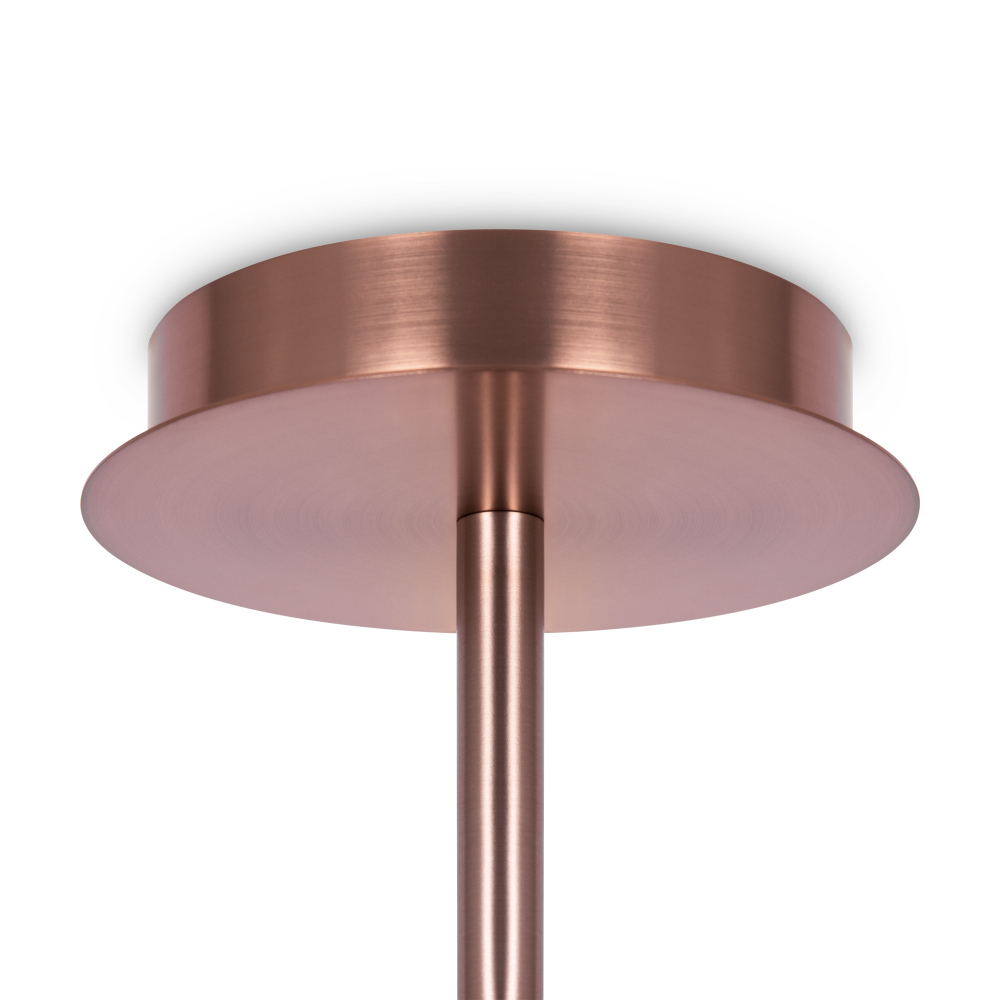 Потолочная люстра Maytoni Erich MOD221PL-10G
