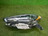 DSCN9811.jpg
