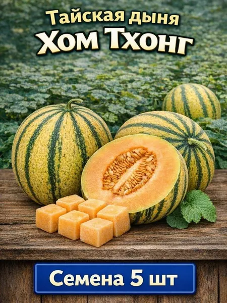 Дыня тайская "Хом Тхонг" — семена, 5 шт.