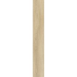 Moduleo Next Noble Oak 246
