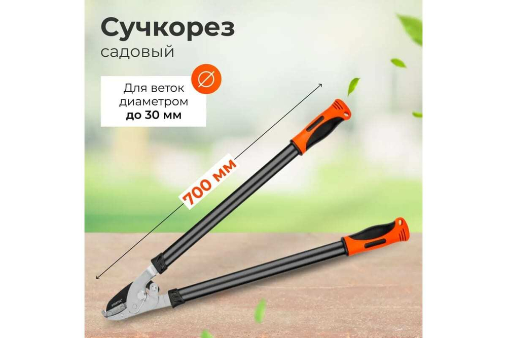 Сучкорез STARTUL Garden ST6096-04
