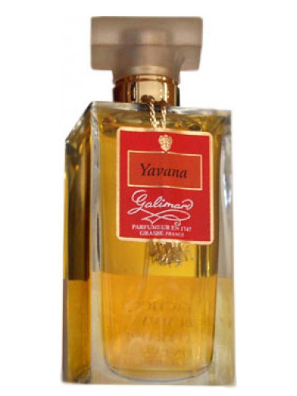 Galimard Yavana