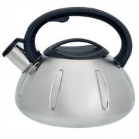 Чайник со свистком 3 л из нержавеющей стали, индукционное дно WEBBER BE-0569/1 сатин, черный