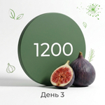 День 3