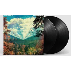 Виниловая пластинка Tame Impala — Innerspeaker (2 LP)