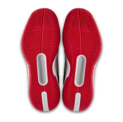 Мужские кроссовки теннисные Wilson Rush Pro 5 CTC - bright white/wilson red/microchip