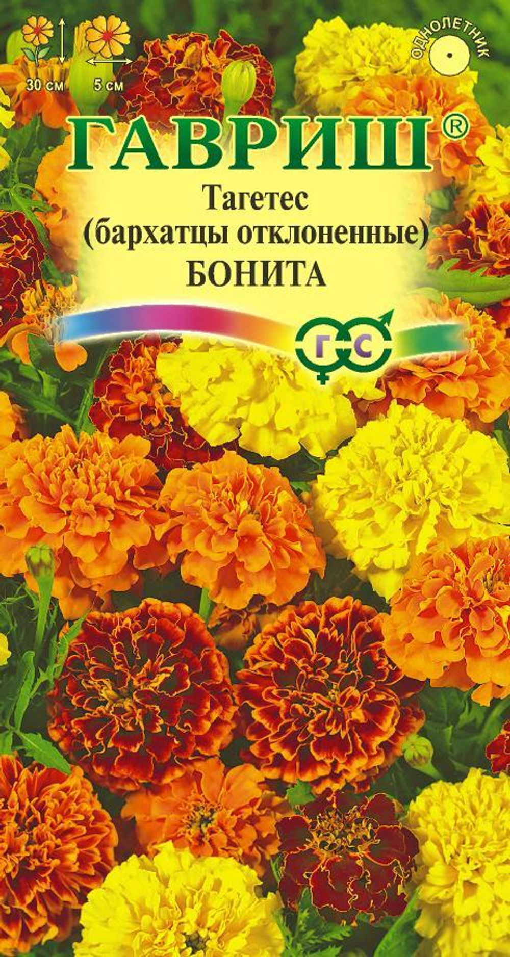 Бархатцы Бонита Гавриш