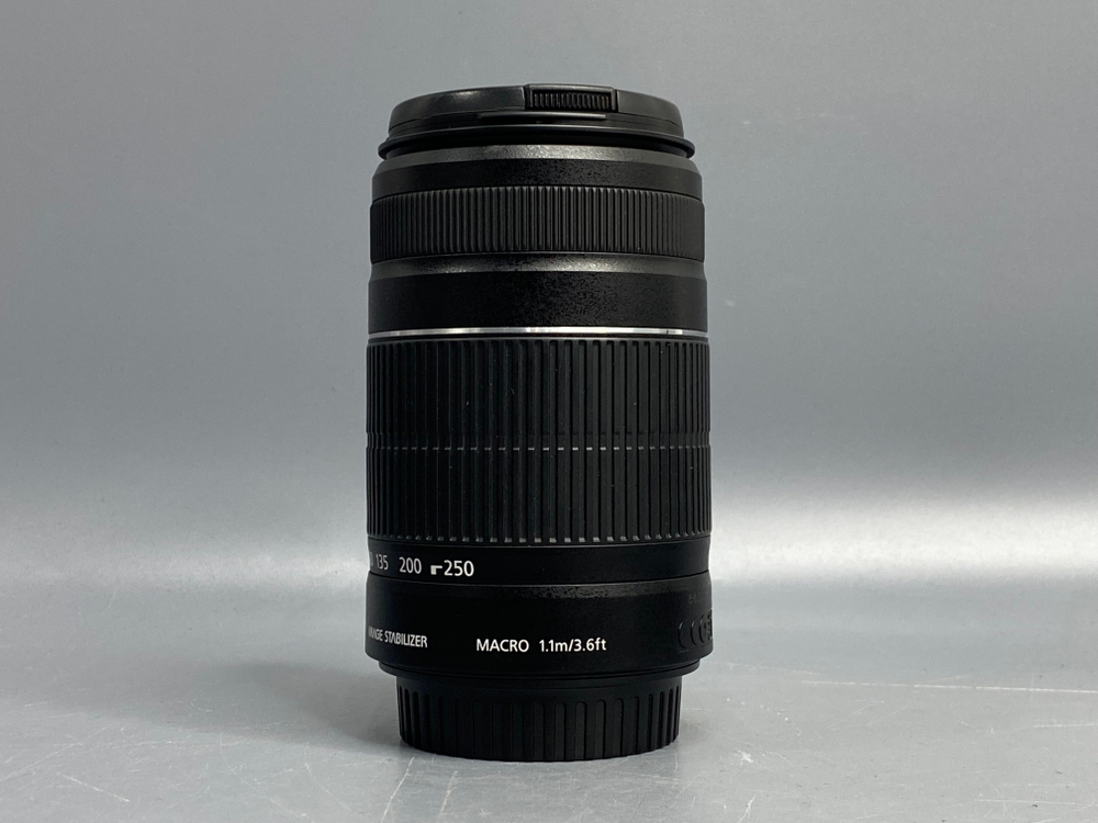 Canon EF-S 55-250mm 4-5.6 IS STM