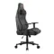 Cougar Defensor Gray F