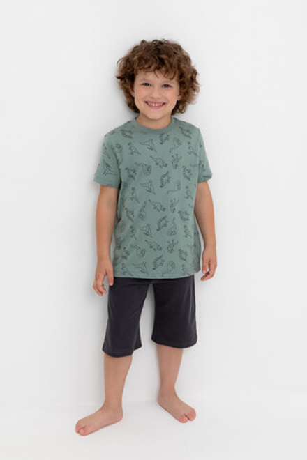 К 1614-1/дино друзья на полыни,графит пижама детская (фуфайка, шорты)