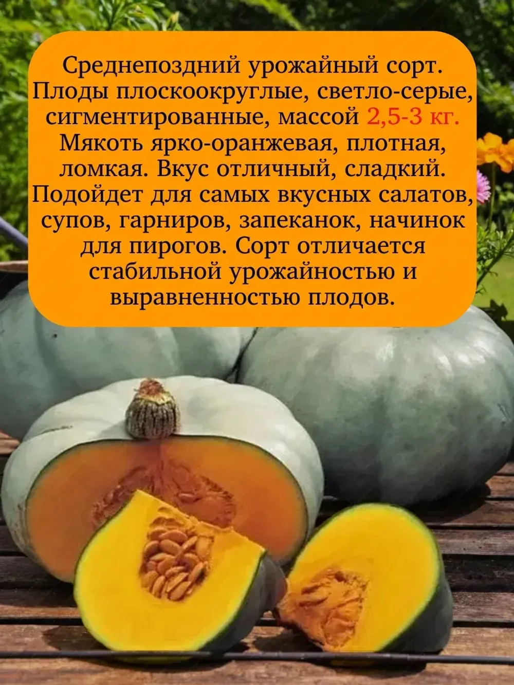Семена Тыква Набор 3 шт 15 гр