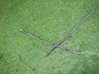 DSCN1763.JPG