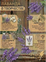 Лаванда Синева (цветки). Творческий материал и сухоцветы