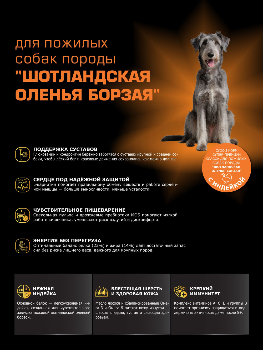 Корм сухой для пожилых собак породы Шотландская оленья борзая старше 5 лет, с индейкой, 12 кг, QUATTRO